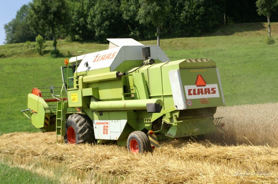 Claas Drescher 66